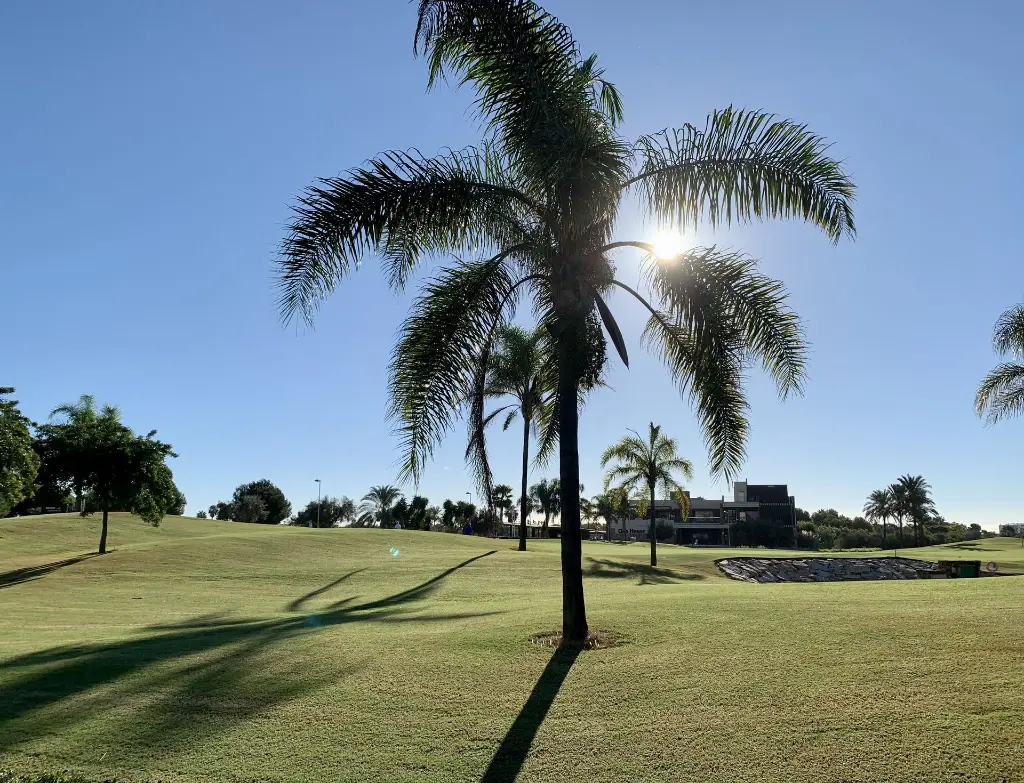 golfové ihrisko