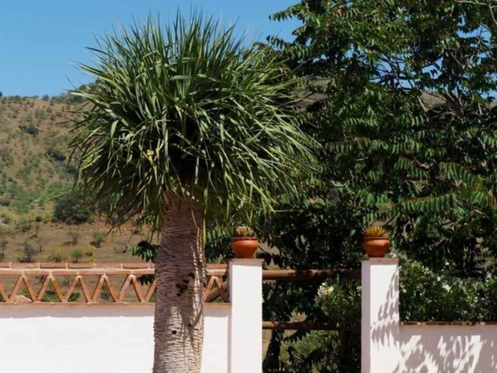 Moderný Finca v Alora – Malaga