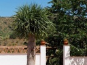Moderný Finca v Alora – Malaga