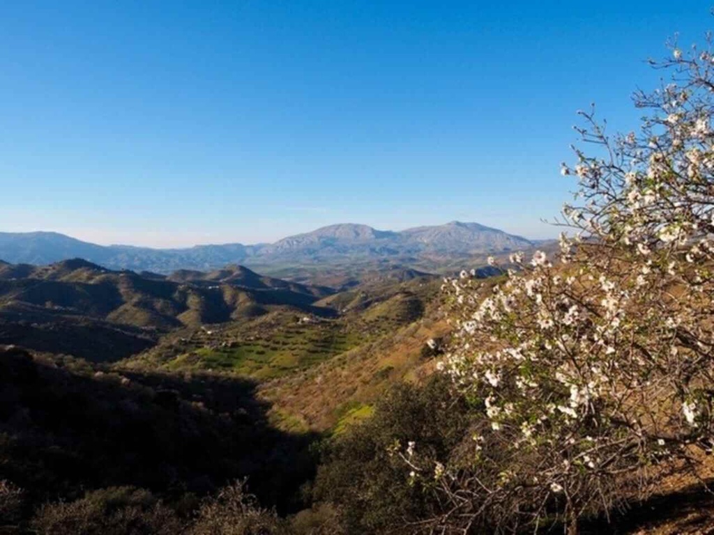 Moderný Finca v Alora – Malaga