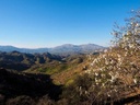 Moderný Finca v Alora – Malaga