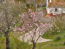 Moderný Finca v Alora – Malaga