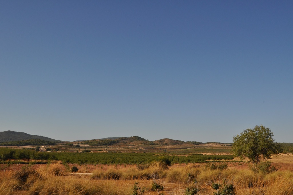 Moderný Property v Pinoso – Inland