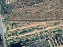 Moderný Land v Los Montesinos – Pueblo 8