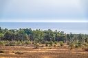 Moderný penthouse v Punta Prima – Costa Blanca