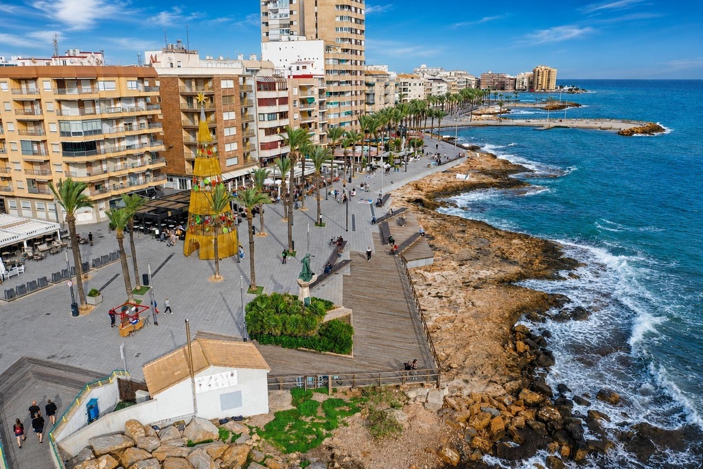 Commercial v Torrevieja
