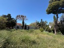 Moderná vila v Torrevieja – Los Balcones - Los Altos Del Edén