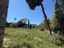 Moderná vila v Torrevieja – Los Balcones - Los Altos Del Edén
