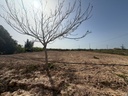 Moderný Property v Torre Pacheco – Inland