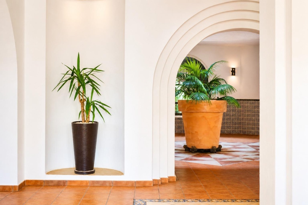Moderný apartmán v Torrevieja – Los Frutales