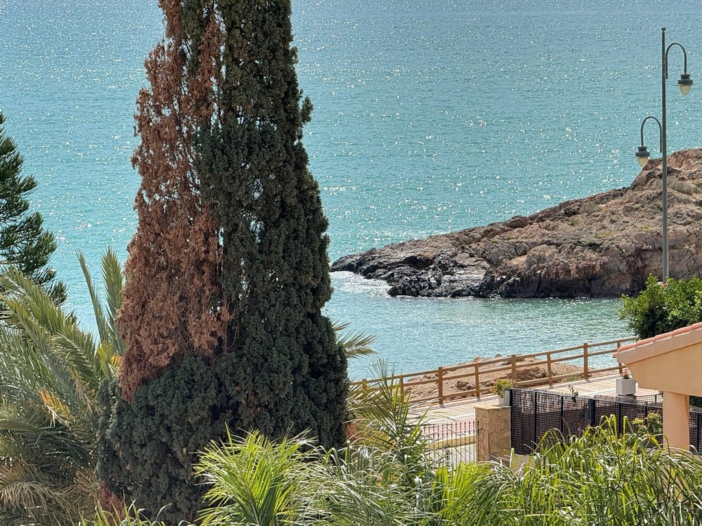Luxusná vila v Mazarron – Bolnuevo