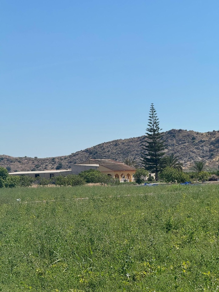 Finca v Granja de Rocamora
