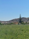 Finca v Granja de Rocamora