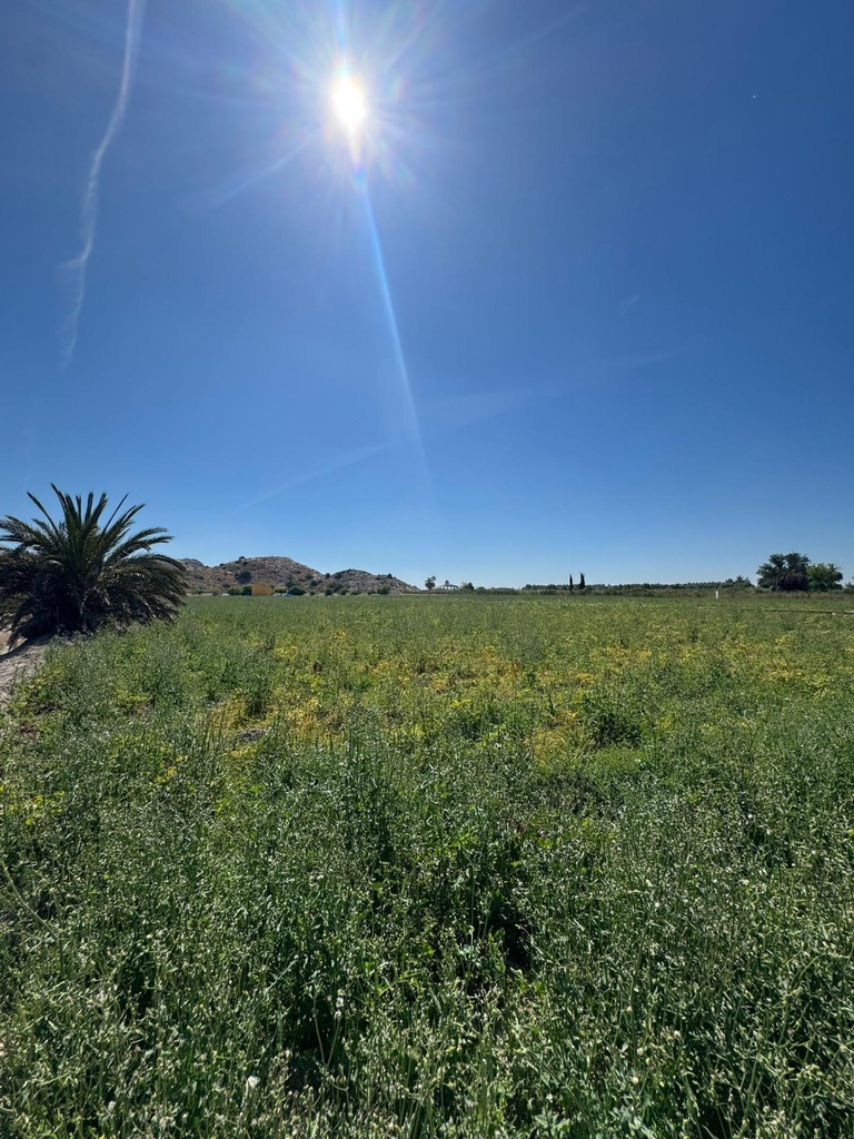 Finca v Granja de Rocamora