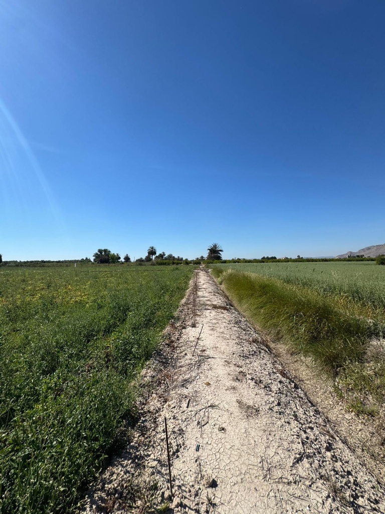 Finca v Granja de Rocamora
