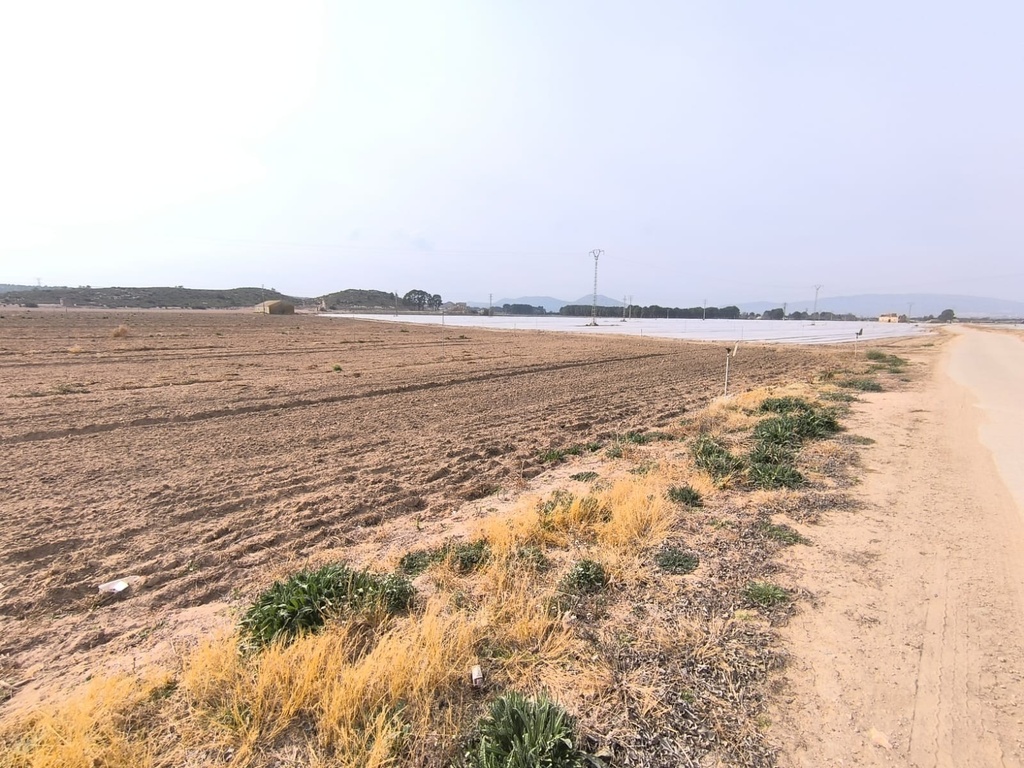 Luxusný Land v Villena – Inland