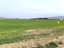 Luxusný Land v Villena – Inland