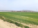 Luxusný Land v Villena – Inland