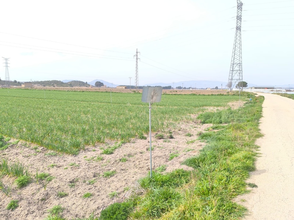 Luxusný Land v Villena – Inland
