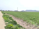 Luxusný Land v Villena – Inland