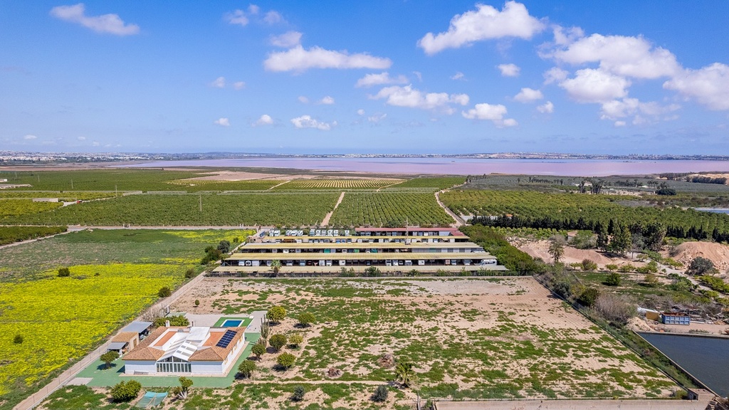 Luxusná vila v Los Montesinos – Costa Blanca