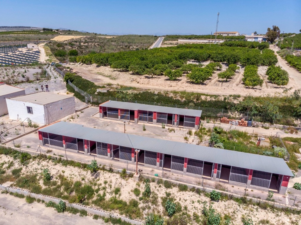 Moderný Finca v Los Montesinos