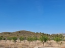Moderná vila v Barinas – Inland