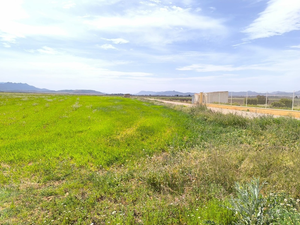 Luxusný Property v Yecla – Inland