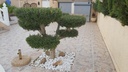 Moderná vila v Benimar – Costa Blanca