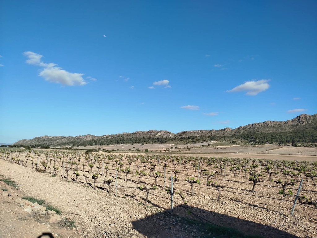 Moderný Property v Yecla – Inland