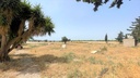 Moderný Commercial v Balsicas – Inland