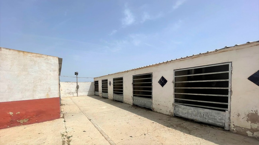 Moderný Commercial v Balsicas – Inland