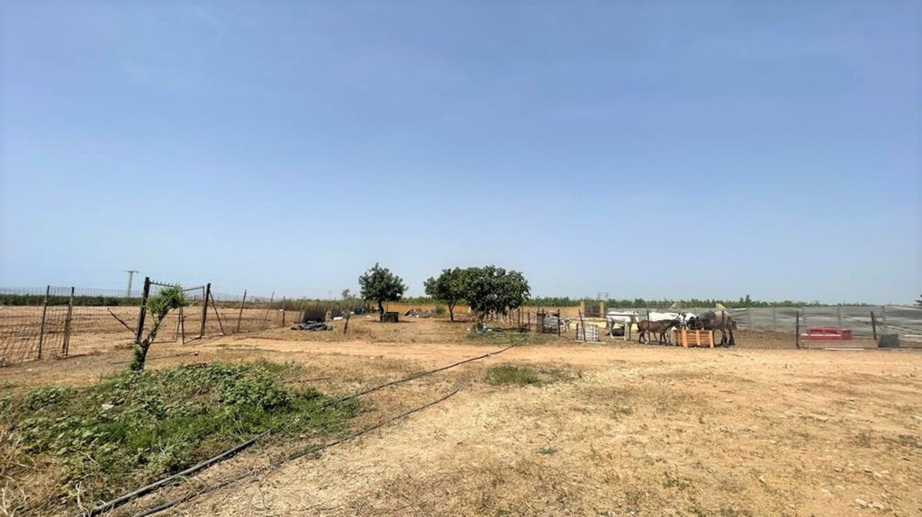 Moderný Commercial v Balsicas – Inland