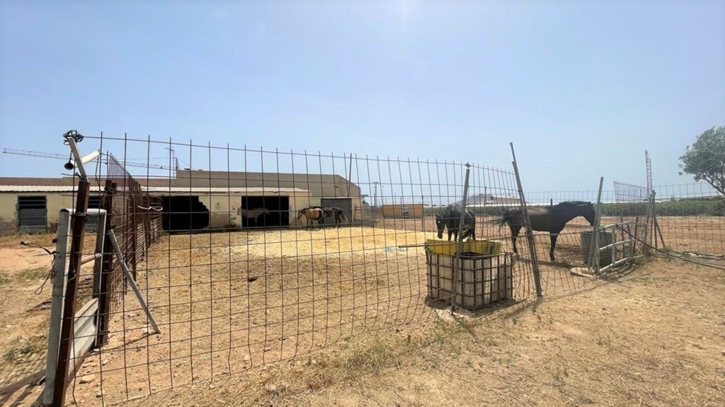 Moderný Commercial v Balsicas – Inland