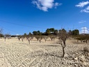 Moderný Land v Bullas – Inland