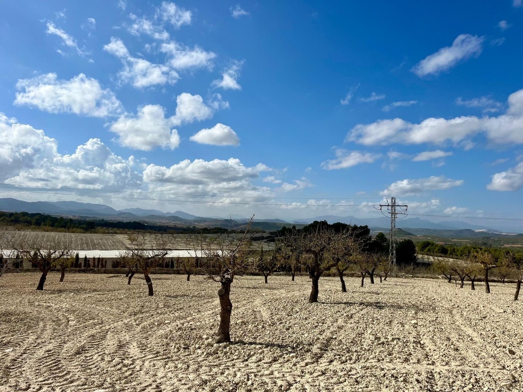 Moderný Land v Bullas – Inland