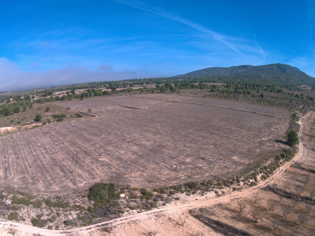 Moderný Land v Yecla – Inland