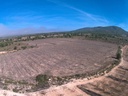 Moderný Land v Yecla – Inland