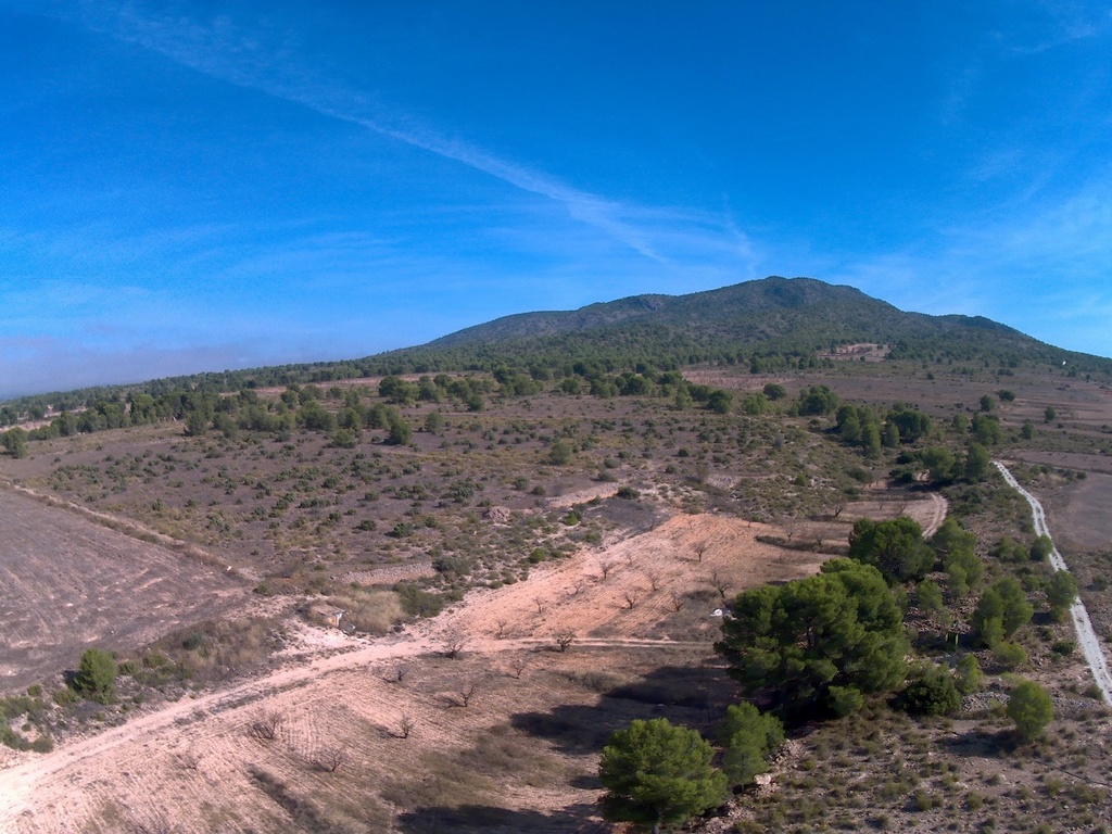 Moderný Land v Yecla – Inland