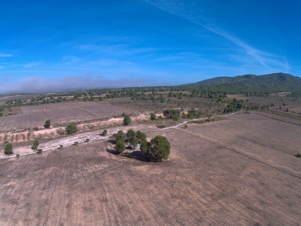 Moderný Land v Yecla – Inland