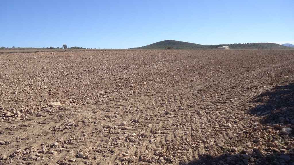 Moderný Land v Yecla – Inland