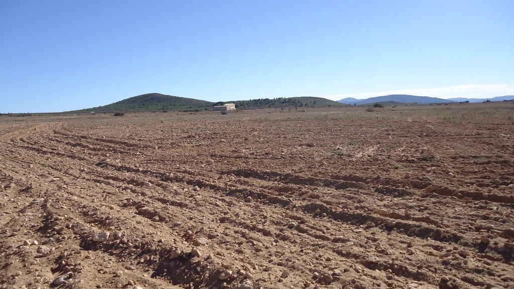 Moderný Land v Yecla – Inland