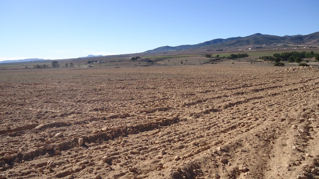 Moderný Land v Yecla – Inland