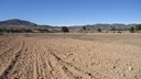 Moderný Land v Yecla – Inland