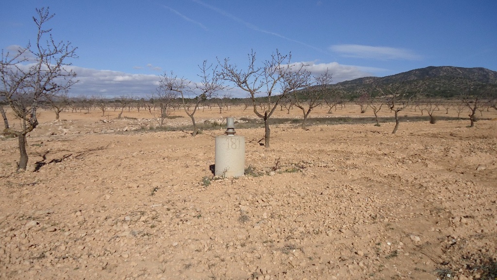 Moderný Land v Yecla – Inland