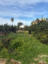 Moderný Land v Denia – Costa Blanca