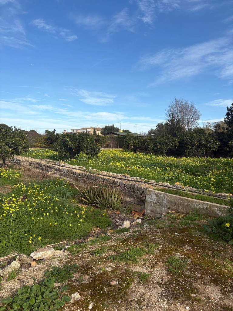 Moderný Land v Denia – Costa Blanca