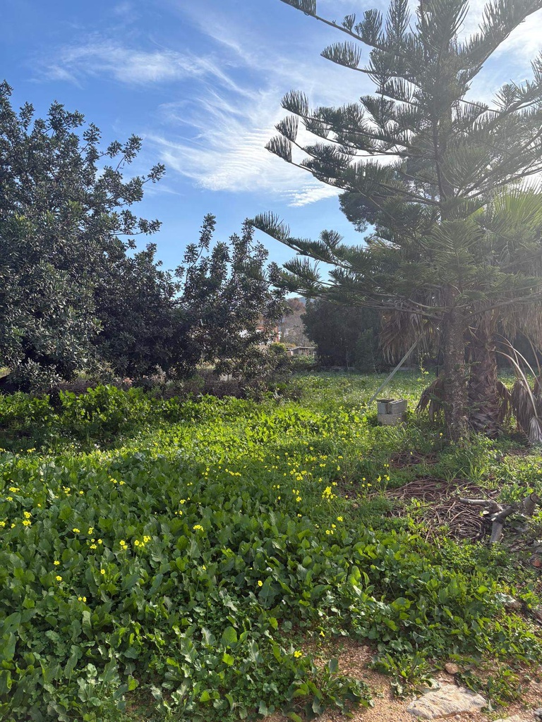 Moderný Land v Denia – Costa Blanca