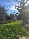 Moderný Land v Denia – Costa Blanca