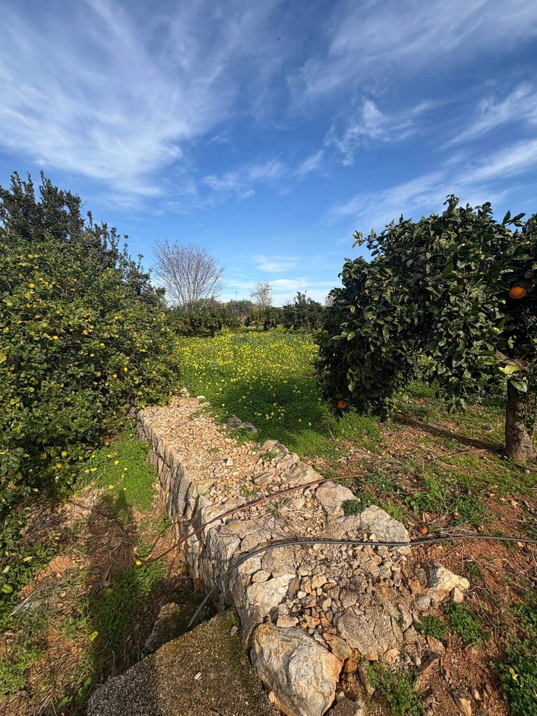 Moderný Land v Denia – Costa Blanca